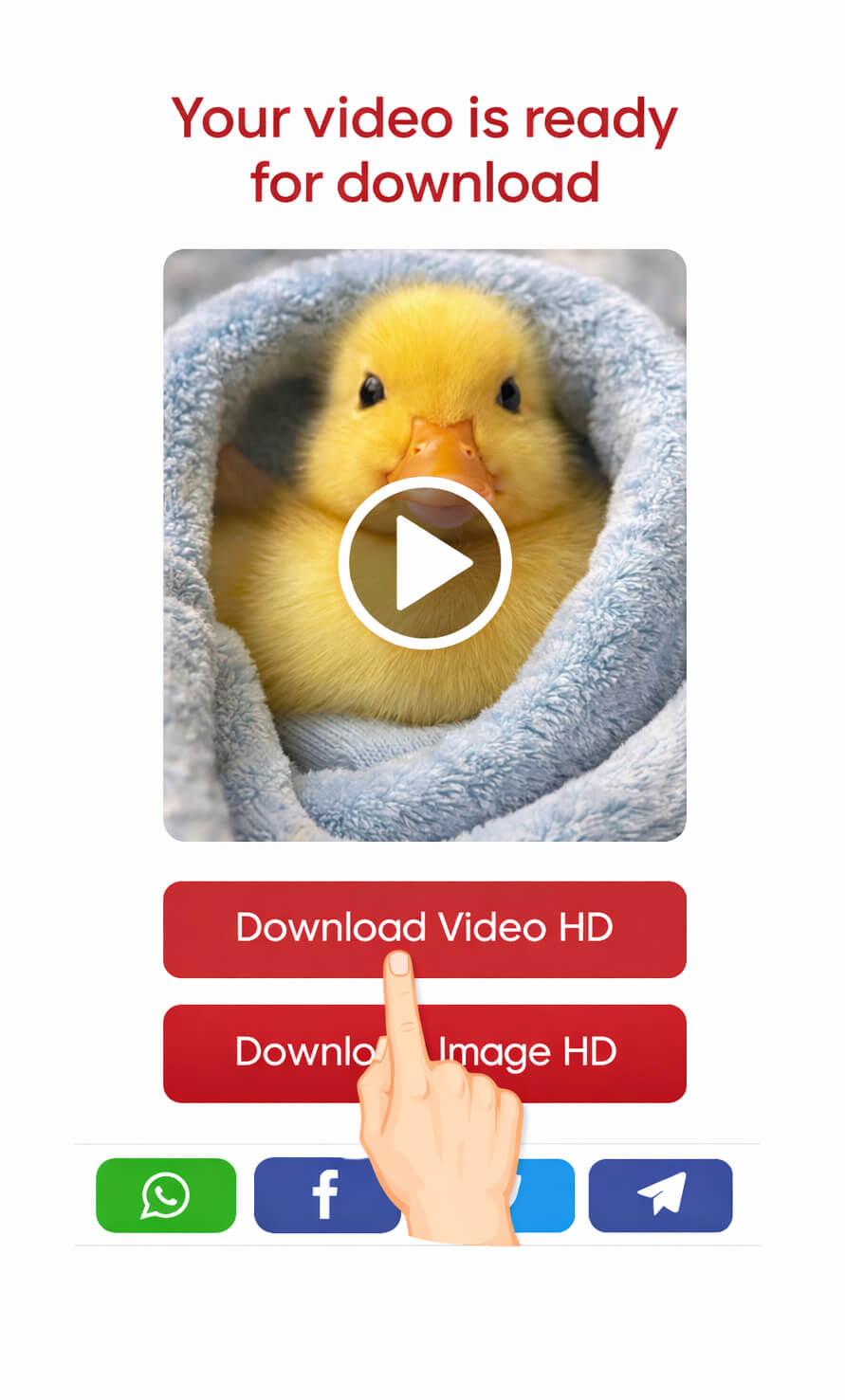 Pinterest Video Downloader